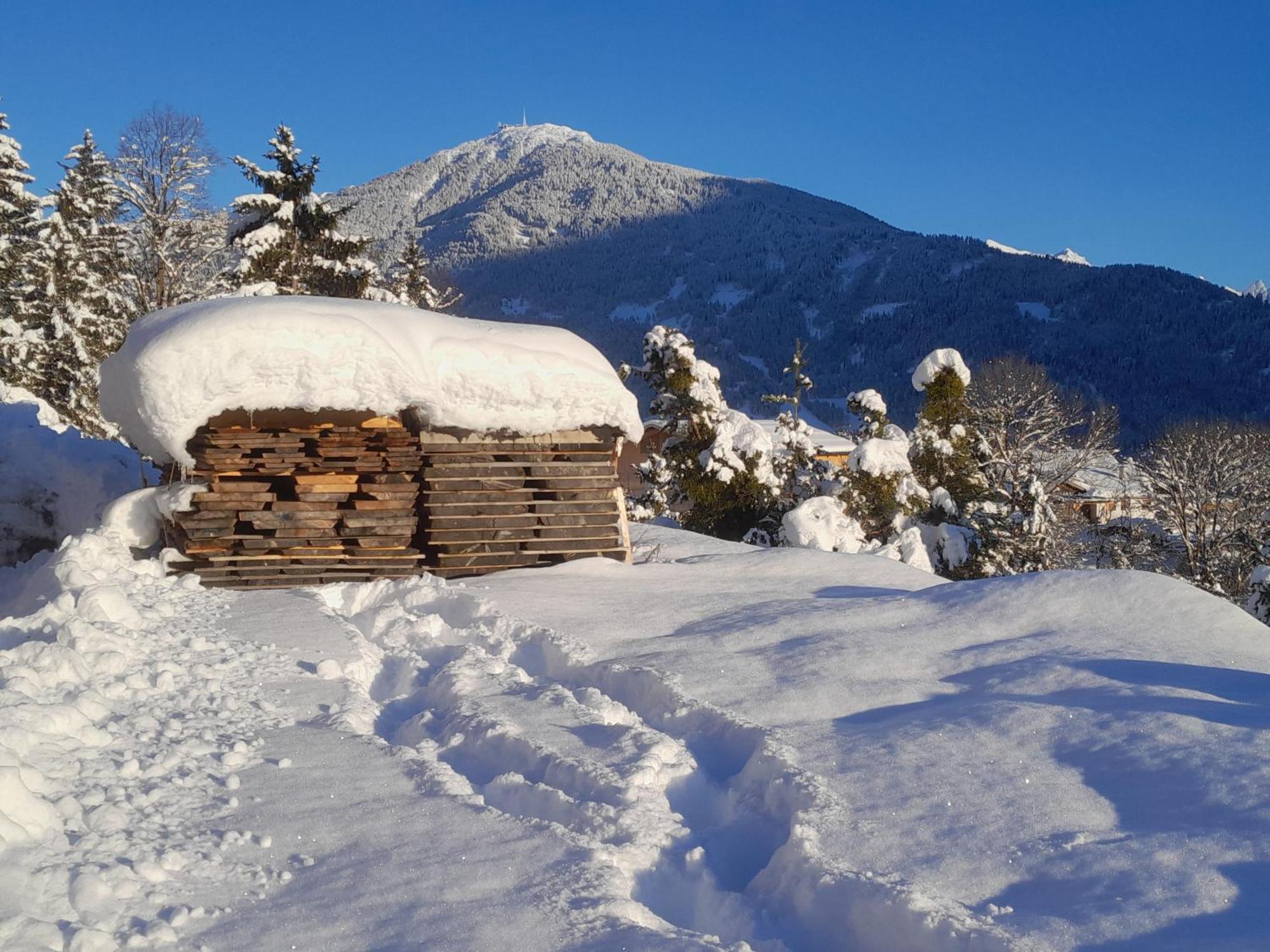 Haus Hotz Apart Talblick Grins Екстер'єр фото