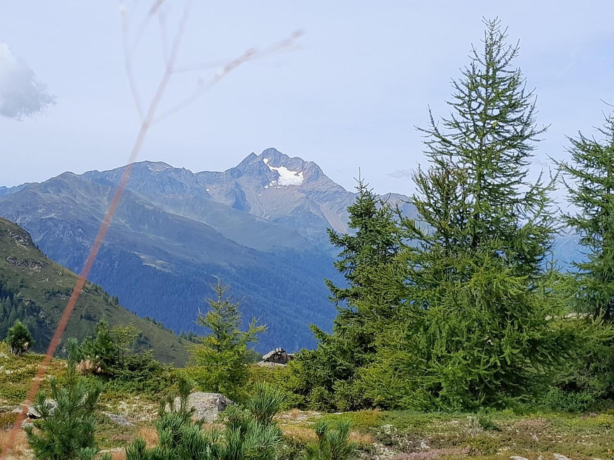 Haus Hotz Apart Talblick Grins Екстер'єр фото
